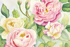 RosesFour