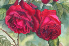 RosesareRed