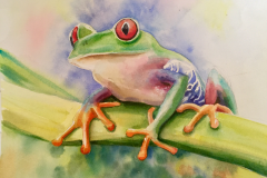 redeyefrog