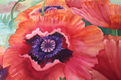 redpoppydetail