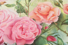 rosesformylovedetail